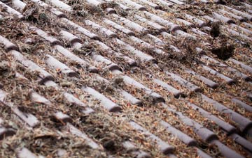 Little Almshoe roof cleaning companies